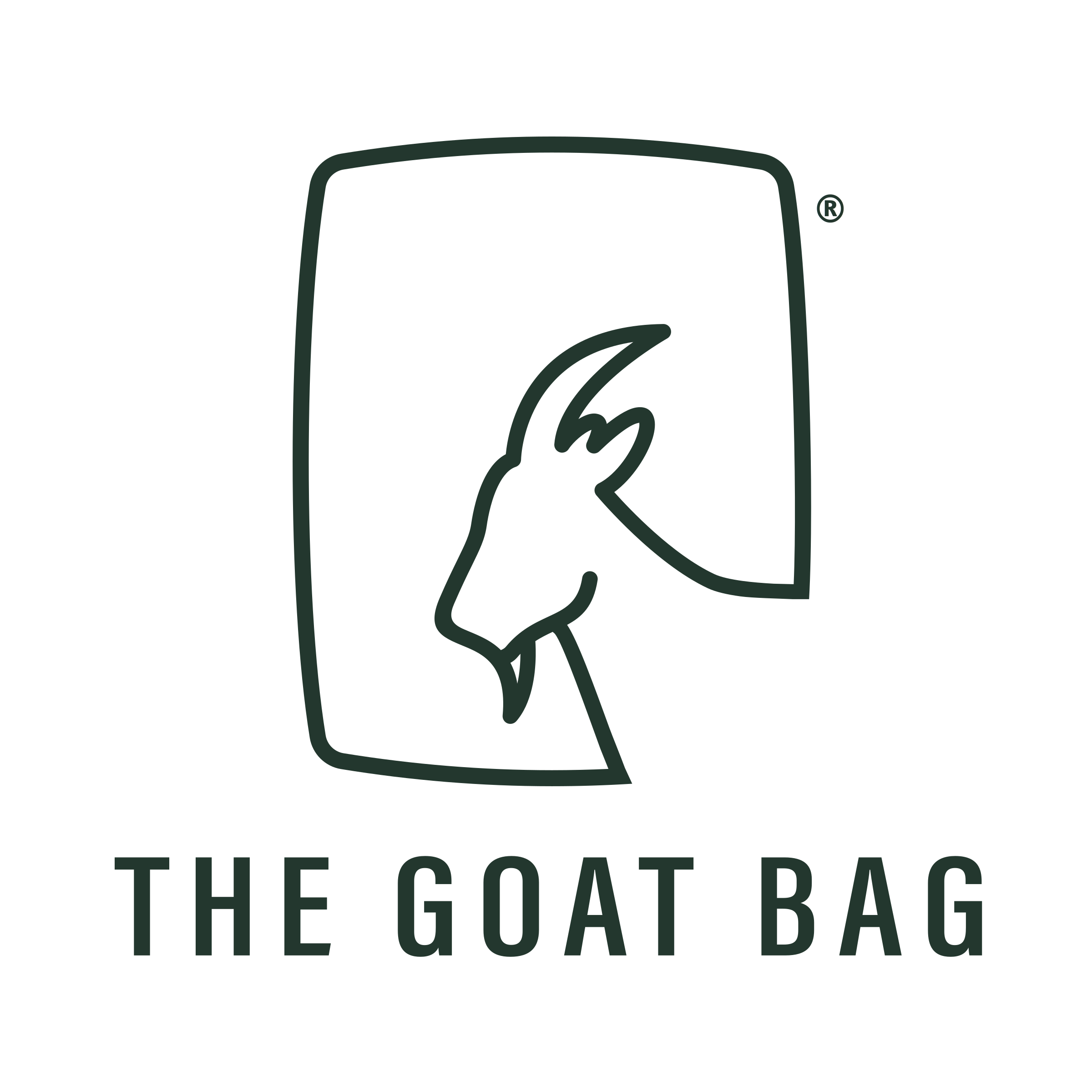 The GOAT Bag | Reusable Heavy-Duty Project Bags