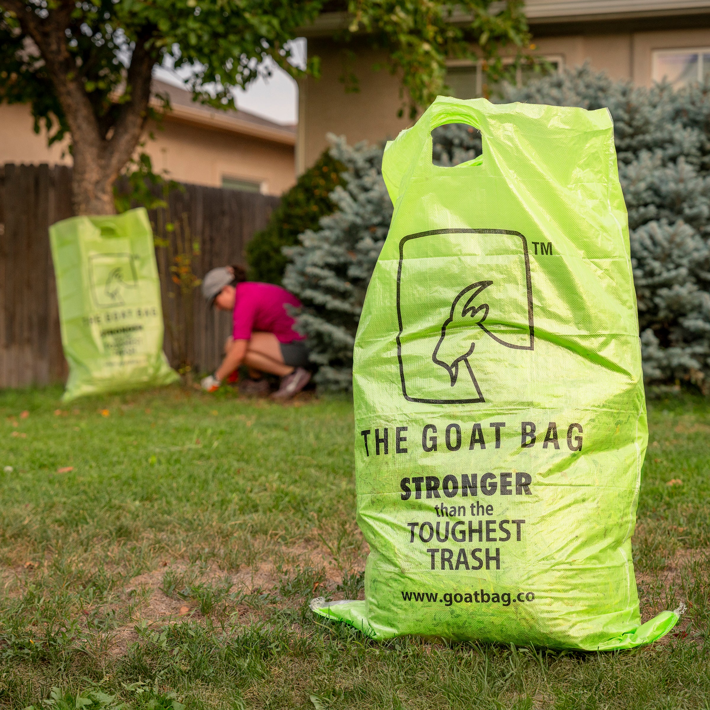 The GOAT Bag — Box of 10 Heavy-Duty Reusable Bags