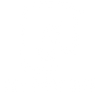 The GOAT Bag